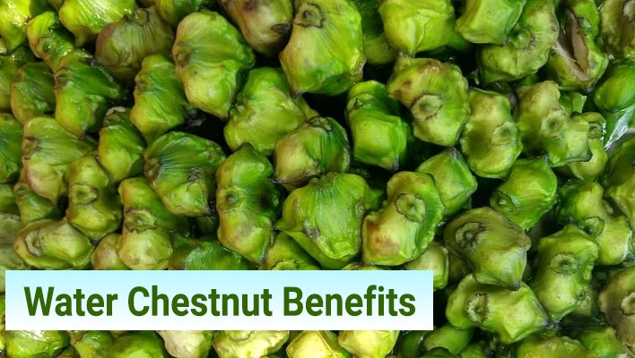 Water chestnut benefits for health